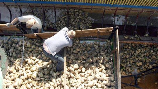 Rolnicy ryzykują mandat, bo drogowcy nie postawili tabliczek