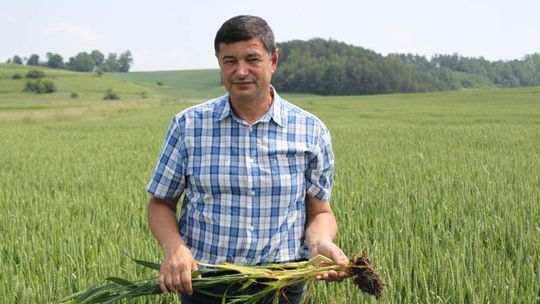 Rolnik nie orze ze względu na morze