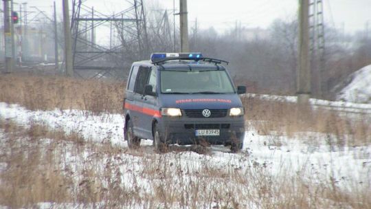 Rolnik ścinał drzewo, powalił sześć słupów energetycznych 