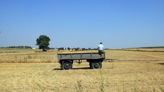 Rolnik wygrywa ze starostą. Co miesiąc przez 20 lat ma dostawać rekompensatę za "urzędniczą bezczynność"