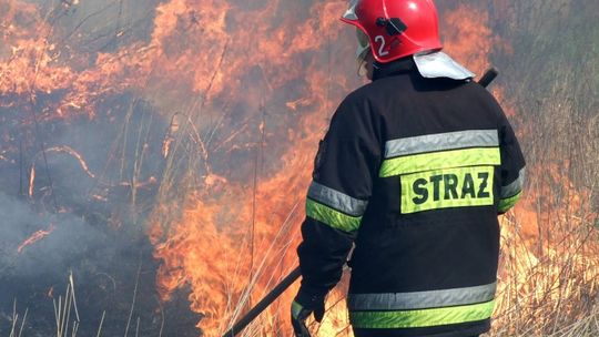 Rolniku, nie wypalaj traw, bo stracisz dopłaty