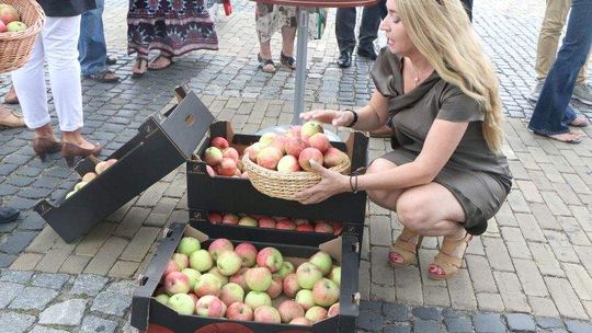 Rosja nie chce naszych owoców, warzyw i mięsa. Przedsiębiorcy: "Odczujemy to"