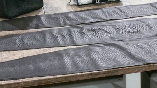 Rosjanka do celników: Pytony są pod ochroną? Nie wiedziałam