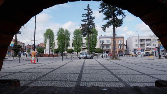 Rośliny na kraśnickim rynku tak, ale wyłącznie w donicach