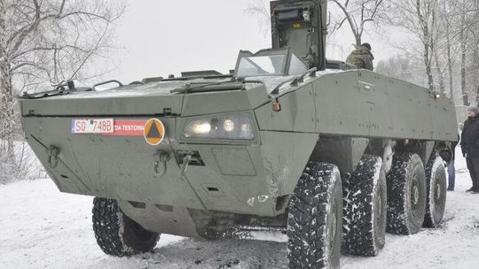 Rosomak z lubelskimi łapami 