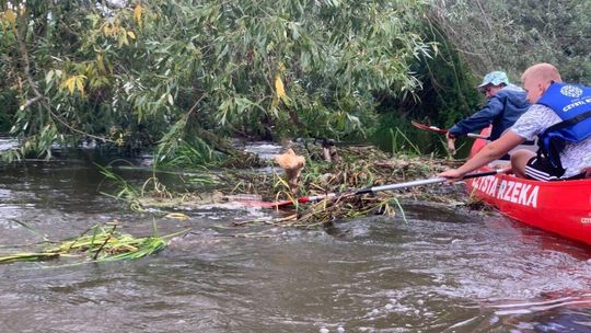 Rower, opiekacz, opony samochodowe. Wyciągnęli z rzek 210 ton śmieci