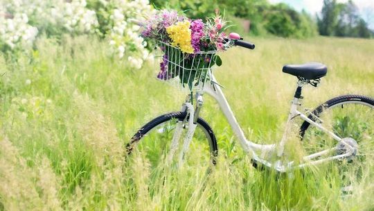 Rowerem z Lublina do Lasów Kozłowieckich. Nowa ścieżka