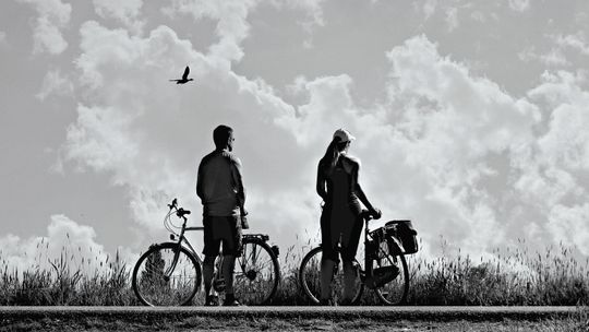 Rowerzyści będą musieli mieć ubezpieczenie OC?