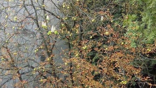 Równonoc jesienna. Jesień przyszła na dobre. Jaka pogoda w weekend?