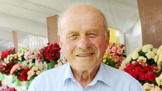 Róża. Ogrodowa królowa