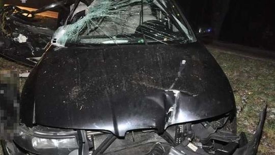 Rozbili się na drzewie. 22-latek zginął na miejscu. Kto kierował autem?