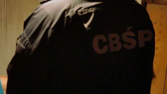 Rozbity gang handlujący bronią. Jednym z członków policjant z regionu