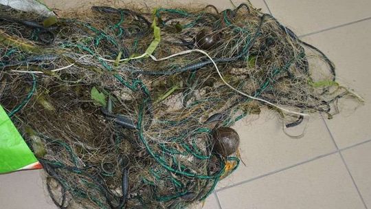 Rozłożyli siatkę na rzece, grozi im więzienie