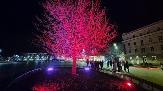 Różowo na Placu Litewskim i bezpłatne badania. Trwa Europejski Tydzień Walki z Rakiem Szyjki Macicy