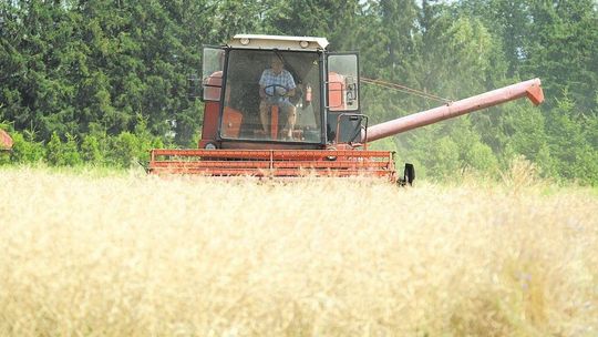 Rozpoczął się Powszechny Spis Rolny 2020. Jakie pytania może usłyszeć rolnik?