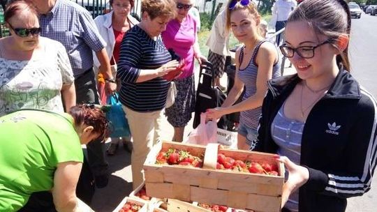 Rozpoczął się sezon na truskawki. Ceny na targowiskach (zdjęcia)