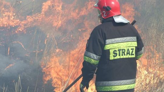 Rozpoczął się sezon na wypalanie traw, strażacy ostrzegają