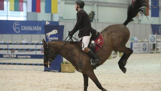 Rozpoczęła się Cavaliada: 250 koni, 100 zawodników (wideo, zdjęcia)