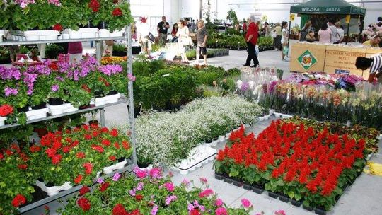 Rozpocznij sezon z EDENEM! Już w weekend 26 i 27 kwietnia!