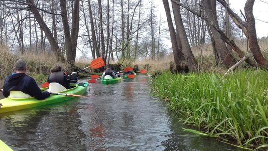 Roztocze: Mieszkańcy i miłośnicy kajaków posprzątali rzekę