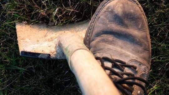 Roztocze: Szukali skarbu, rozkopali górę Czubatkę