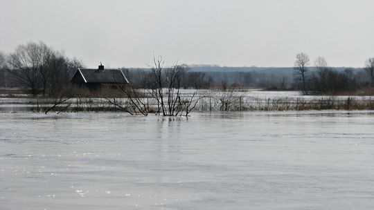 Roztopy zalewają domy i posesje. 90 interwencji strażaków