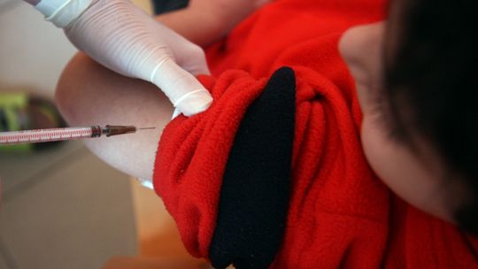 Różyczka, ospa wietrzna. Wirusy atakują