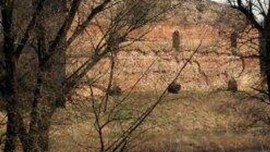 Ruiny zamku w Kryłowie (nr 18) - 11 głosów