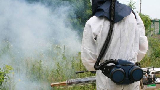 Rusza akcja odkomarzania w Puławach