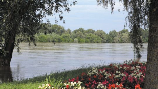 Rusza druga faza odkomarzania w Puławach