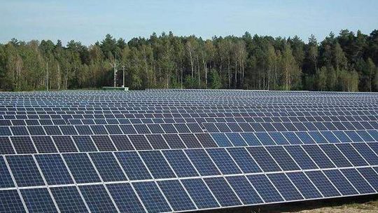 Rusza jedna z największych elektrowni słonecznych w Polsce
