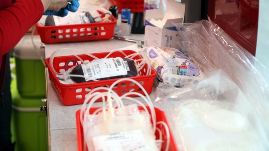 Ruszają szukać dawców w regionie