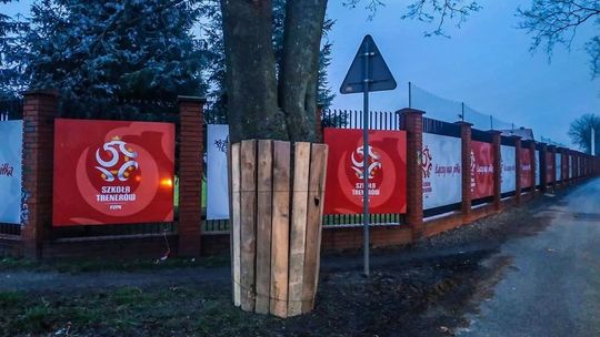 Ruszyła przebudowa ul. Warszawskiej w Białej Podlaskiej. Wytną 120 drzew "kolidujących z projektem"