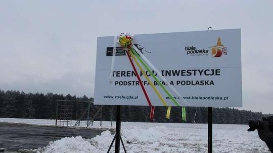 Ruszyła wycinka 19 tys. drzew. Inwestorzy zainteresowani gruntami