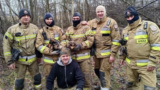 Ruszyli na pomoc szczeniakom. Utknęły w lisiej norze
