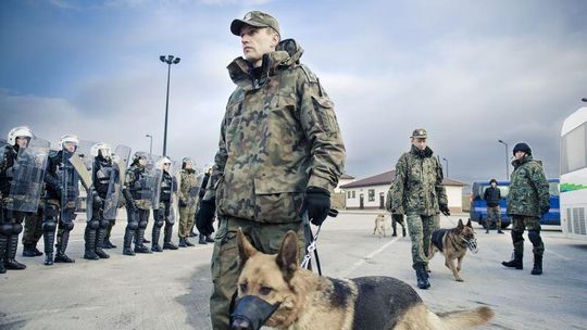 Ruszyły wspólne odprawy na przejściach granicznych z Ukrainą