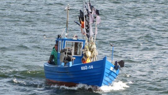 Ryba z Bałtyku? Niekoniecznie dla Polaka