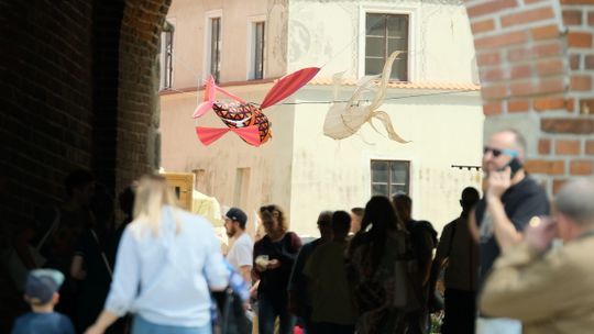 Ryby i nietoperze, czyli Noc Kultury w Lublinie czas zacząć