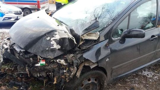 Ryki. Peugeot wylądował na drzewie. Kierowca był pijany