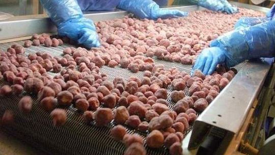 Ryki. Zwolnienia w Hortex Holding: nadal bez porozumienia