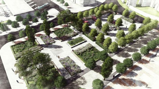 Rynek w Janowie Lubelskim będzie bardziej zielony