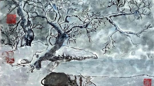 Rysunki i tkanina w Domu Kultury LSM