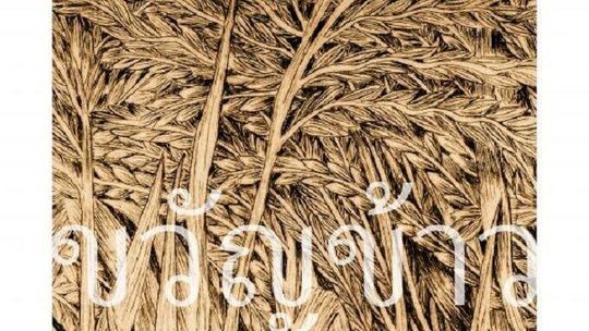 "Rytuał tajskiego ryżu". Wystawa na UMCS