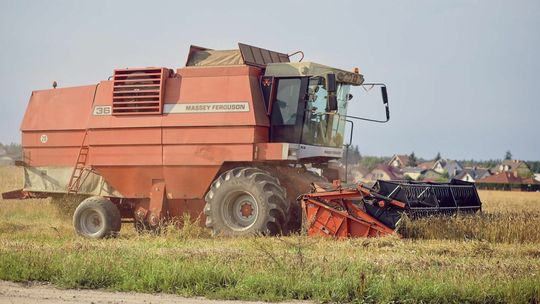 Ryzykuje rolnik, zarabia duża sieć