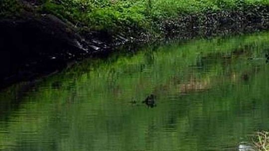 Rząd da 3 mln zł na most na Ciemiędze