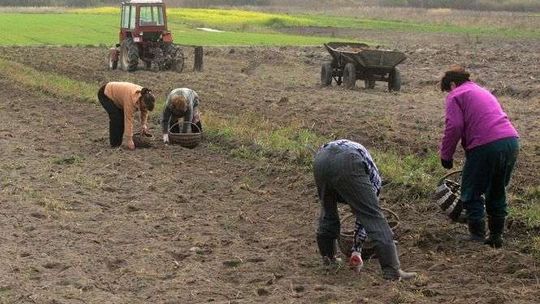Rząd zapowiada nowy podatek. Nawet 300 zł miesięcznie