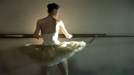 Rzeczpospolita Polka w Centrum Kultury