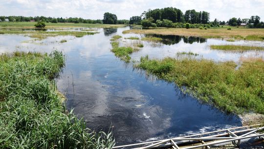 Rzeka Tarasienka wystąpiła z koryta i wygania letników znad Jeziora Białego