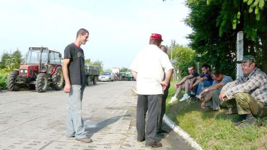 Rzepak w tym roku obrodził