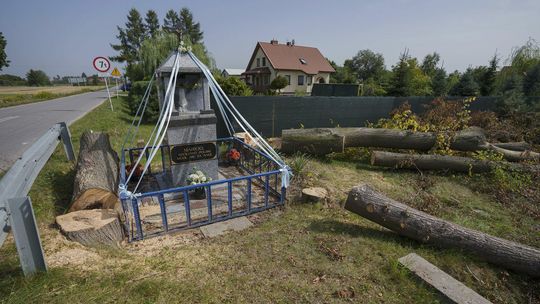 Rżną jak leci. Wielka wycinka na trasie 820 na pojezierze [zdjęcia, wideo]